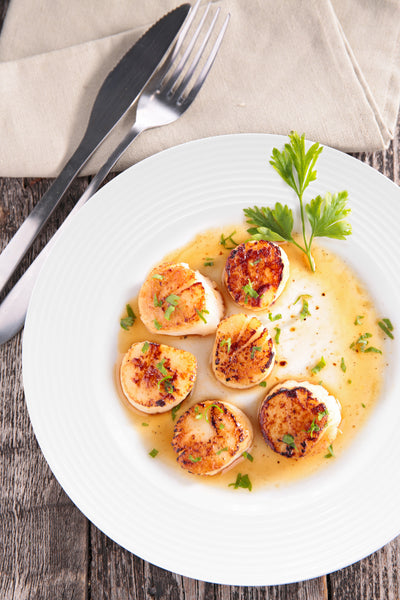 QOUTIQUE Bone China White Embossed Dinner Plates Set, 10.5 inch, Set of 6, 6 Piece White Dinner Plate Set, Serving Dish Set, Microwave and Dishwasher Safe, Scratch Resistant, Dinnerware Party Plates